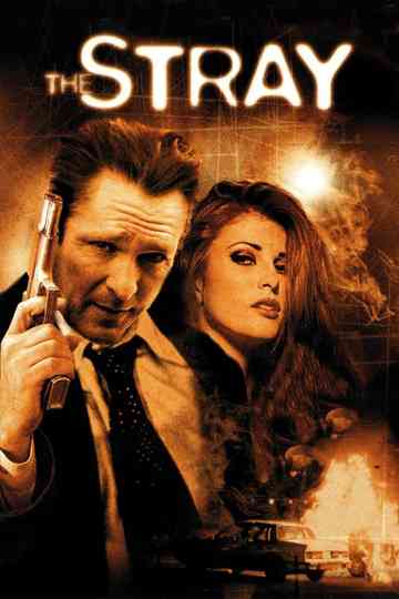 The Stray Poster