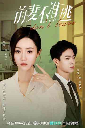 Ex-Wife Don't Leave Poster