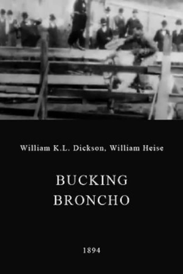 A Bucking Broncho