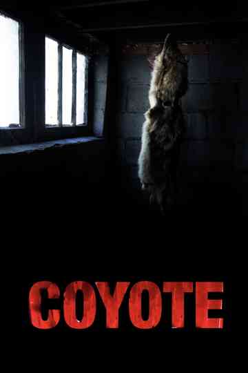 Coyote Poster