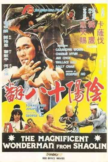 Magnificent Wonderman Poster