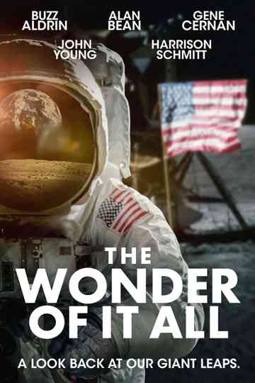 The Wonder of It All Poster