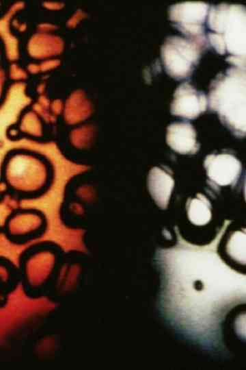 Bardo Follies Poster