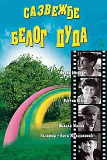 The Constellation of White Mulberry Tree Poster