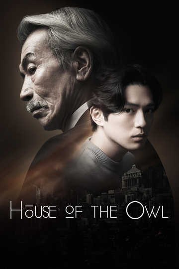 House of the Owl Poster