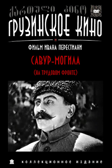 Savur-Mogila Poster