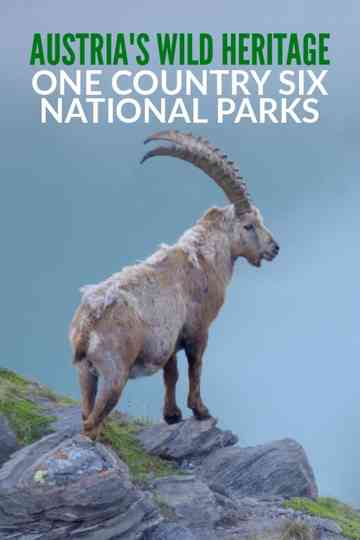 Austria's Wild Heritage - One Country Six National Parks Poster