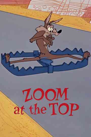 Zoom at the Top poster