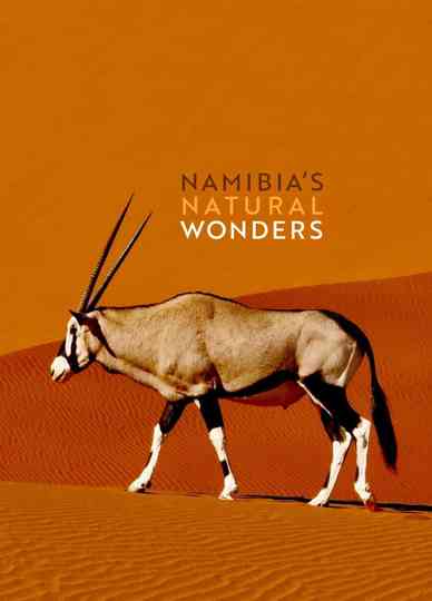 Namibia’s Natural Wonders Poster