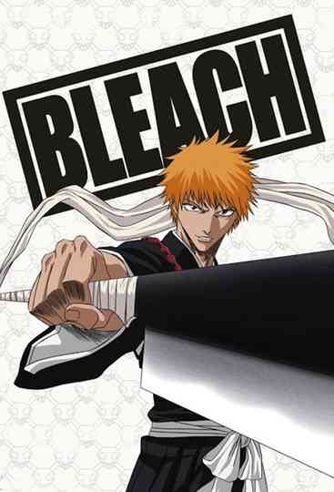 Bleach Collection Poster