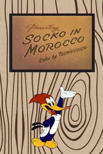 Socko in Morocco Poster