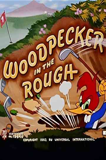 Woodpecker in the Rough Poster