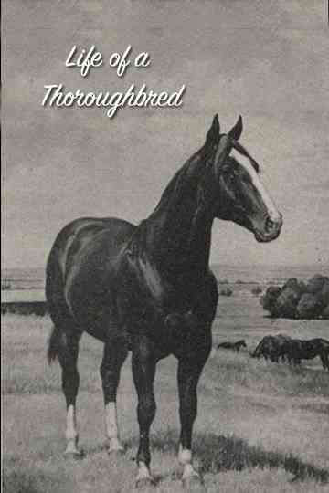 Life of a Thoroughbred poster