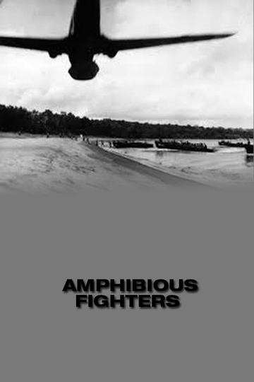 Amphibious Fighters Poster