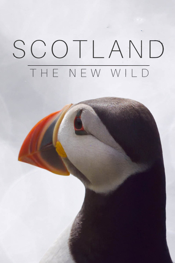 Scotland: The New Wild