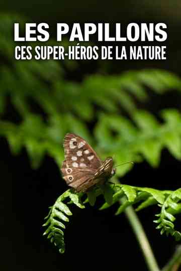 Les Papillons, ces super-héros de la nature Poster
