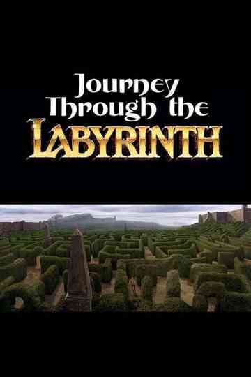 Journey Through the Labyrinth Poster