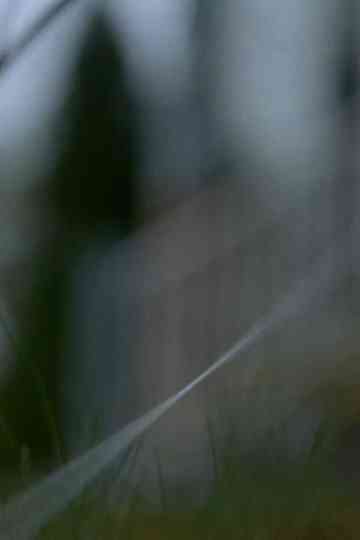 50 Feet of String poster