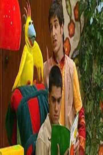 ilha das cores Poster