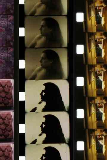 Five-Year Diary Poster