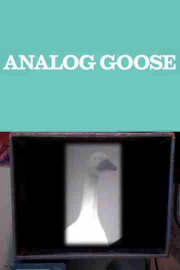 Analog Goose Poster