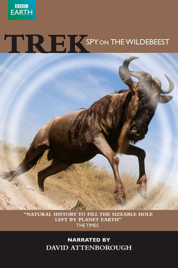 Trek  Spy on the Wildebeest