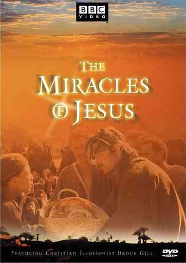The Miracles of Jesus Poster
