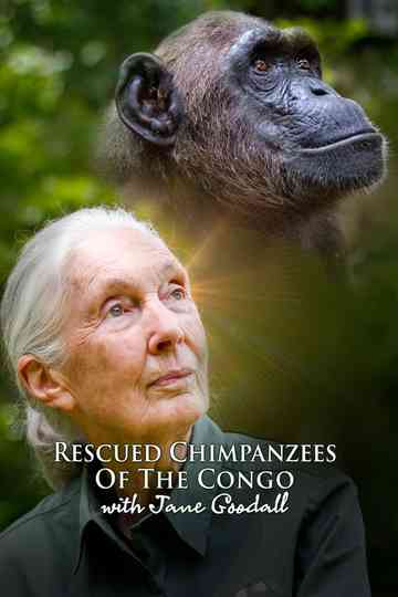 Rescued Chimpanzees of the Congo with Jane Goodall Poster