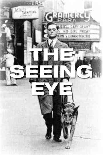 The Seeing Eye Poster