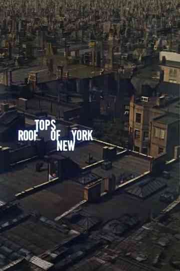 Rooftops of New York Poster