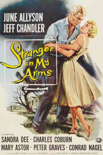 A Stranger in My Arms Poster