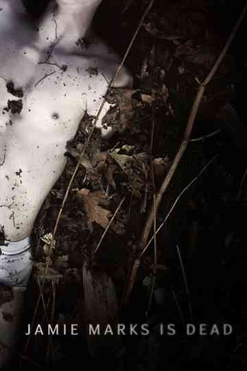 Jamie Marks Is Dead poster