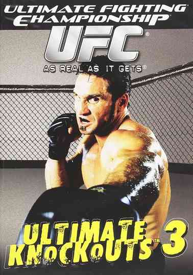 UFC Ultimate Knockouts 3 poster