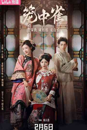 The Canary in the Cage Poster