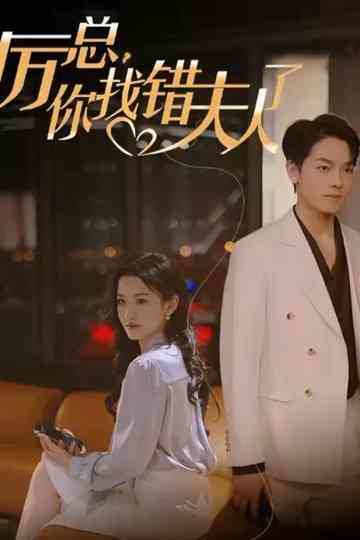 Mr. Li, You Have Found the Wrong Lady poster