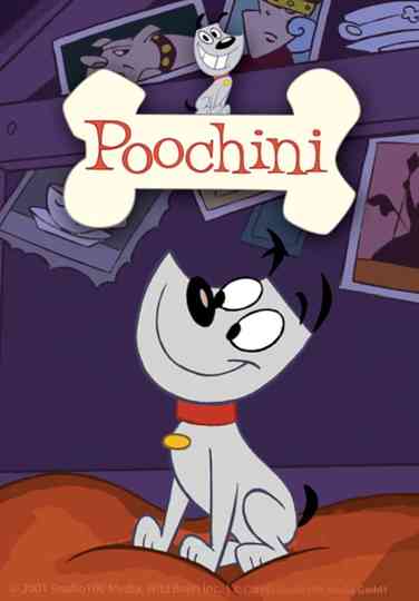 Poochini poster