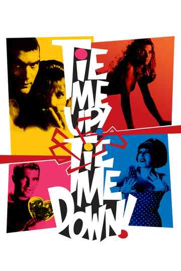 Tie Me Up! Tie Me Down! poster