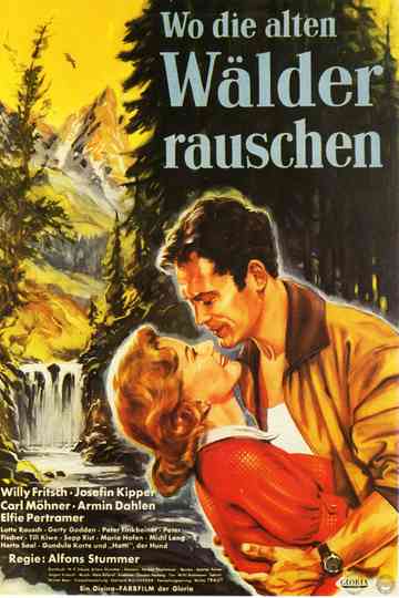 Wo die alten Wälder rauschen