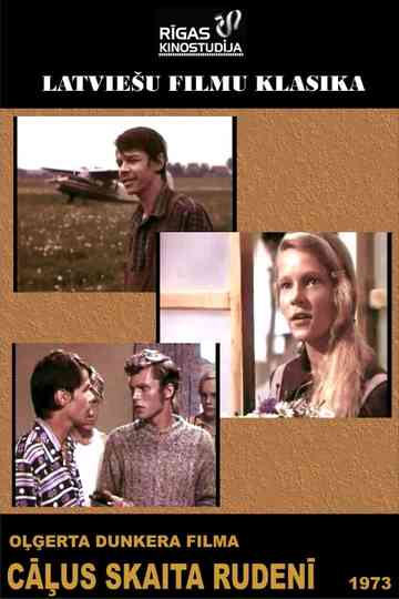 Chicken Get Counted In The Autumn Poster