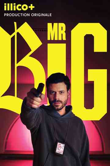 MR BIG Poster