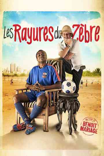 Zebra Stripes poster