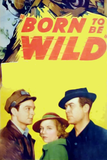 Born to Be Wild Poster