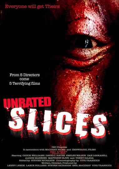 Slices Poster