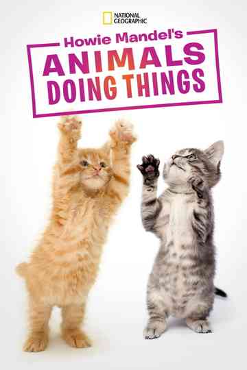 Howie Mandel's Animals Doing Things Poster