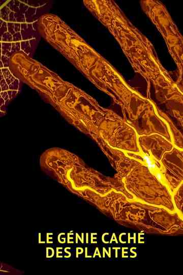 The amazing abilities of plants poster