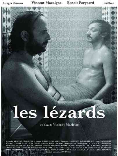 The Lizards Poster