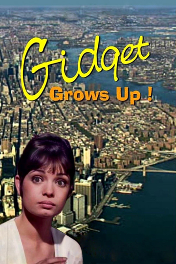 Gidget Grows Up Poster