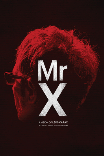 Mr. X Poster