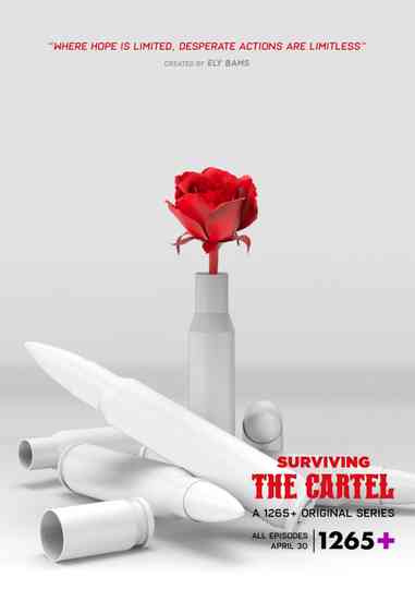 Sobreviviendo al cártel Poster