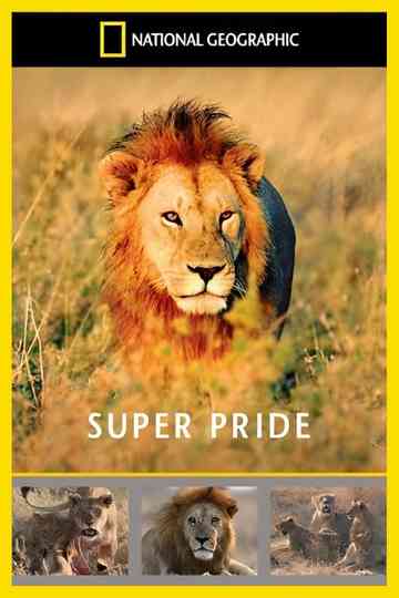 Superpride Poster
